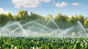 Tender floated for construction of Lift Irrigation MS Pipeline Project